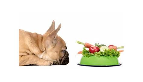 How Much To Feed A French Bulldog Puppy | Feeding Chart