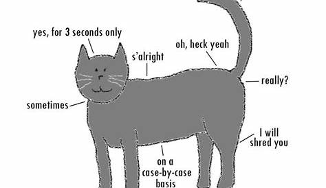 cat petting guide meme -- cat humor | Cat memes, Pets, Funny cats