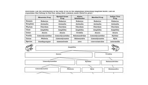 practice with taxonomy and classification worksheet answers