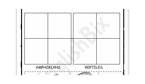 amphibians vs reptiles worksheet
