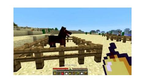 what to feed horse in minecraft