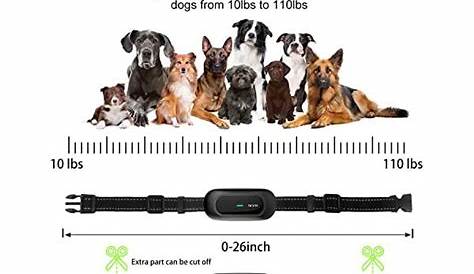 NVK Dog Training Collar, Rechargeable Shock Collars for Dogs with 3