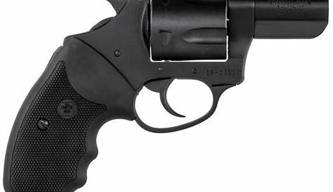 Charter Arms 63526 Professional II 357 Mag 6rd 3″ Stainless Steel