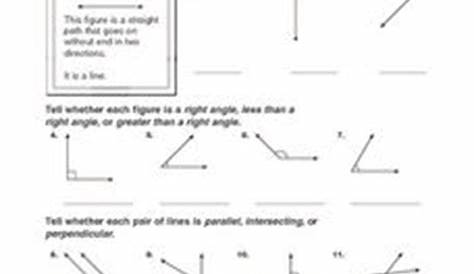 Lines, Line Segments, Rays and Angles - Homework 15.1 Worksheet for 4th