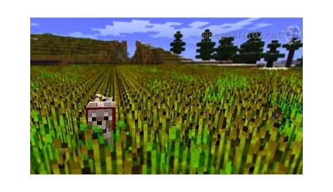 Growing Crops | Minecraft 101