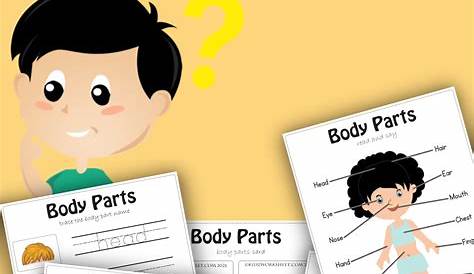 Body Parts worksheet (home schooling and online class)