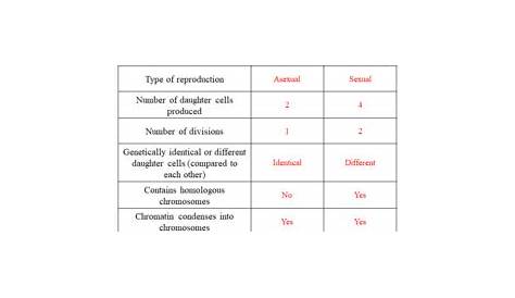 mitosis meiosis comparison worksheet