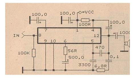 siwire: 810 Amplifier Circuit Daigram