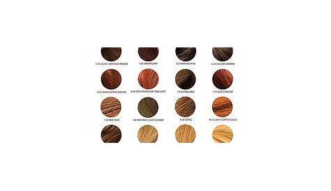 brown chi hair color chart