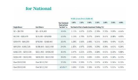 10+ Tax Equivalent Yield Calculator Templates in PDF | DOC