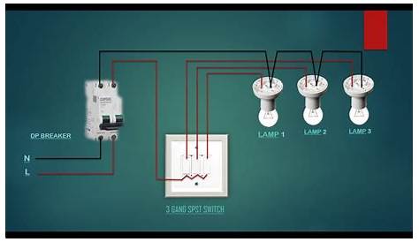 gang switch wiring diagram