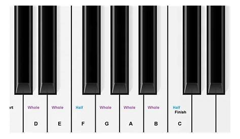 Piano Keys Chart for Beginner Piano Students