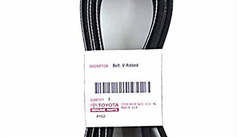 10 Best Serpentine Belts for Toyota Corolla - Wonderful Engi