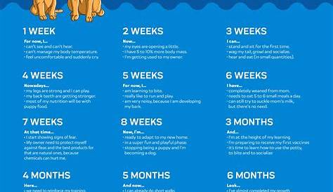 Puppy Growth Chart by Month & Breed Size with FAQ - All You Need to Kn