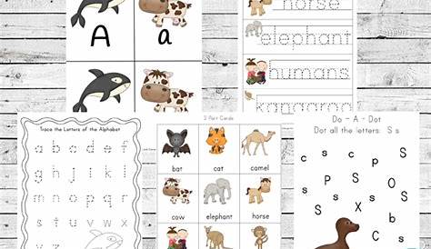 mammal activities for kindergarten