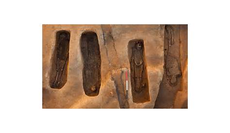 Bones of four early English settlers in Jamestown identified | The