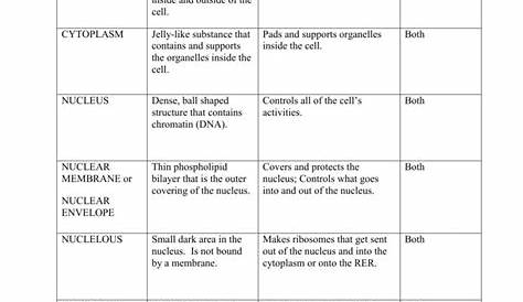cell and function free worksheet