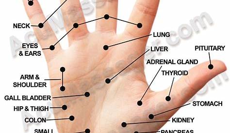 hand pressure points chart