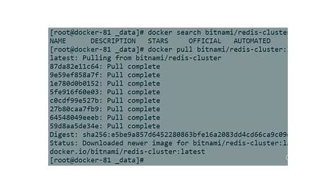 Docker Swarm 安装 Redis 集群(bitnami/redis-cluster:latest)-CSDN博客