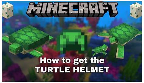 how to get turtle helmet in minecraft