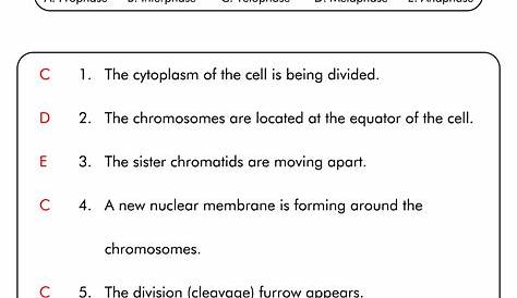 mitosis cell parts worksheet answers