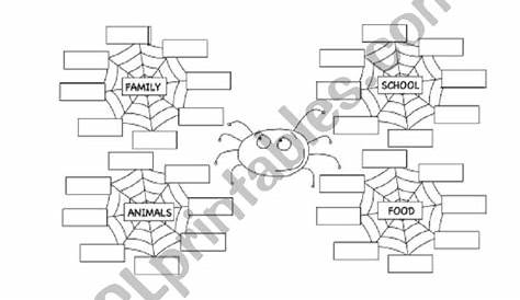 types of spider webs worksheets