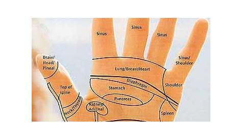 reflexology chart of hand