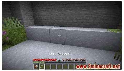 how to place small dripleaf in minecraft