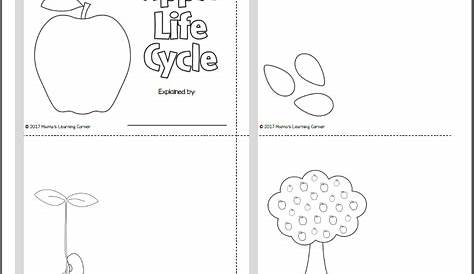 Apple Life Cycle Printable Packet - Mamas Learning Corner