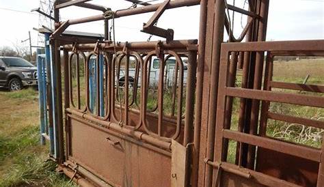 automatic cattle head gate for sale