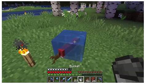how to put fish in bucket minecraft