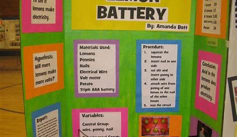Science Fair Project Ideas For 4Th Grade | Examples and Forms