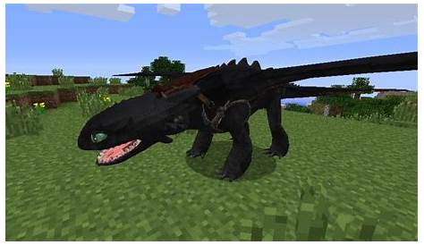 how to get toothless in minecraft