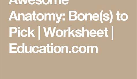 Anatomy: The Human Skeleton | Worksheet | Education.com | Education.com