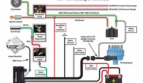 Holley Dominator Wiring Diagram