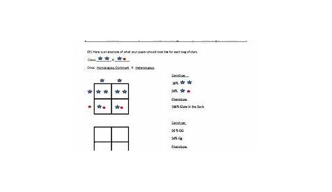 monohybrid cross practice worksheet