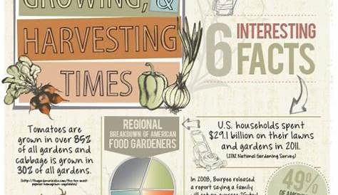 Planting, growing, & harvesting times- infographic | Gardening