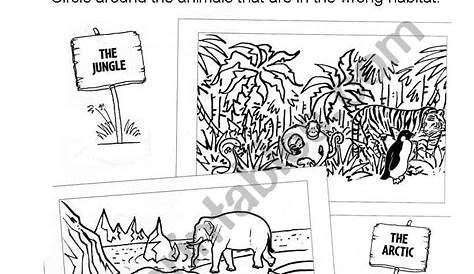 matching animals to their habitats worksheet