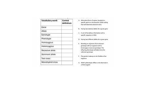 genetic science learning center worksheet