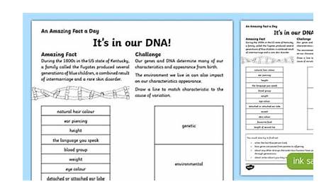 dna reading comprehension worksheet