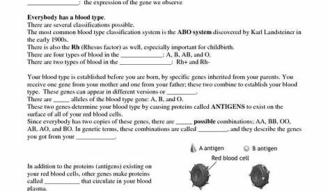 genetics of blood type worksheets
