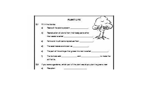 science for 7th graders worksheets