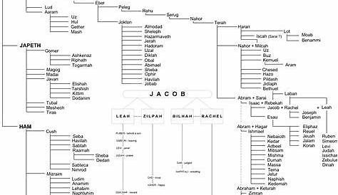 bible genealogy chart adam to jesus pdf