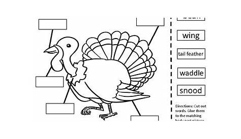 Parts of a Turkey a Mini Unit by The Climbing Fish Classroom | TpT