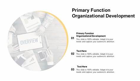 what is a primary function of an organizational chart