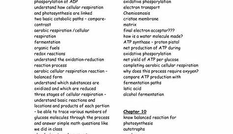 photosynthesis and cellular respiration worksheets answer key