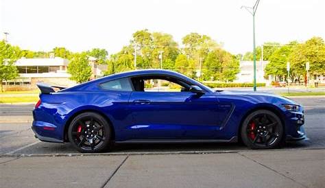 Blue Mustang Colors - The Ultimate Guide