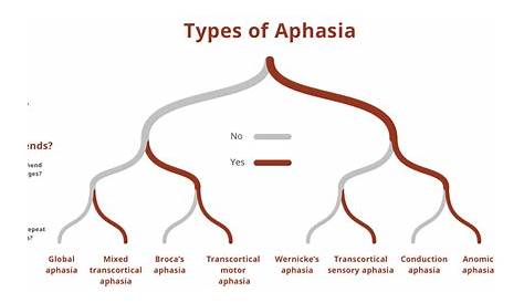 Aphasia - Types, Causes, Symptoms, Diagnosis, Treatment
