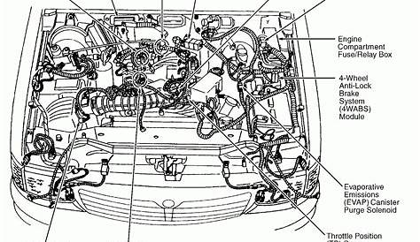 2002 ford F150 V6 Engine Diagram in 2021 | Ford focus engine, Ford