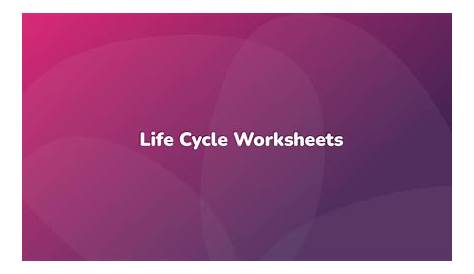 Life Cycle Worksheets - Have Fun Teaching